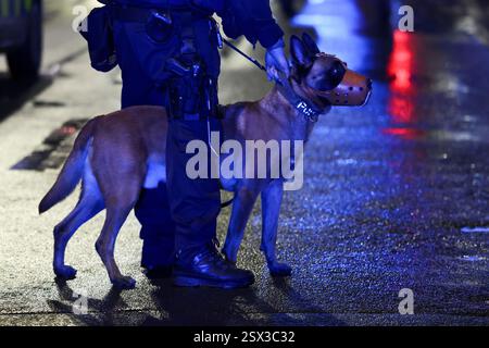 Wuppertal, Allemagne. 22 février 2025. Des policiers accompagnés d'un chien de service de police sécurisent les lieux. Une dispute entre deux familles s'est intensifiée - une opération policière majeure est en cours à cause de la bagarre et il y a des blessés. Crédit : Christoph Reichwein/dpa/Alamy Live News Banque D'Images