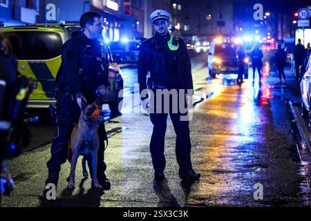 Wuppertal, Allemagne. 22 février 2025. Des policiers accompagnés d'un chien de service de police sécurisent les lieux. Une dispute entre deux familles s'est intensifiée - une opération policière majeure est en cours à cause de la bagarre et il y a des blessés. Crédit : Christoph Reichwein/dpa/Alamy Live News Banque D'Images