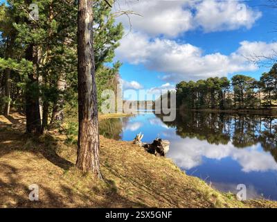 Harlaw Reservoir, parc régional de Pentland Hills, Édimbourg Banque D'Images