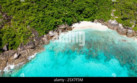La forêt d'émeraude rencontre la baie cristalline avec un rivage rocheux, créant un paysage serein. Seychelles, Mahé. Banque D'Images