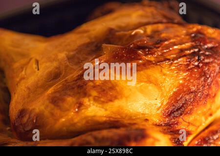 Gros plan détaillé d'un poulet rôti brun doré, mettant en valeur sa peau croustillante et texturée et sa surface juteuse et bien cuite dans un éclairage chaud. Banque D'Images