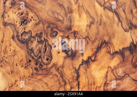 Texture détaillée du panneau de bois d'olivier comme fond Banque D'Images