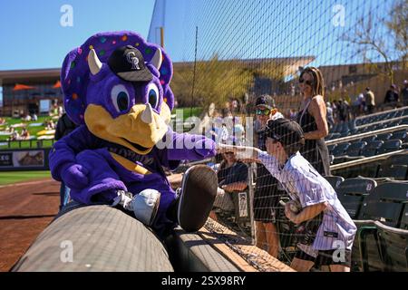 Scottsdale, Arizona, États-Unis. 22 février 2025. La mascotte des Colorado Rockies « Dinger » interagit avec les fans avant un match de baseball d’entraînement de printemps de la MLB entre les Arixona Diamondbacks et les Colorado Rockies le samedi 22 février 2025 à Scottsdale, Arizona. Les Rockies ont battu les Diamondbacks 9-3 (Thomas Fernandez/image of Sport). Crédit : image du sport /Alamy Live News Banque D'Images