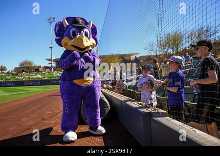 Scottsdale, Arizona, États-Unis. 22 février 2025. La mascotte des Colorado Rockies « Dinger » interagit avec les fans avant un match de baseball d’entraînement de printemps de la MLB entre les Arixona Diamondbacks et les Colorado Rockies le samedi 22 février 2025 à Scottsdale, Arizona. Les Rockies ont battu les Diamondbacks 9-3 (Thomas Fernandez/image of Sport). Crédit : image du sport /Alamy Live News Banque D'Images