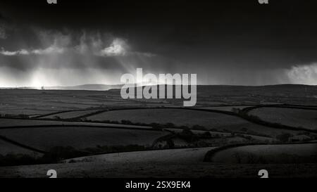 Nuage de pluie sur la campagne de Cornouailles avec troupeau de moutons pâturant dans les pâturages, Port Isaac, Cornouailles, Royaume-Uni Banque D'Images