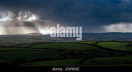 Nuage de pluie sur la campagne de Cornouailles avec troupeau de moutons pâturant dans les pâturages, Port Isaac, Cornouailles, Royaume-Uni Banque D'Images