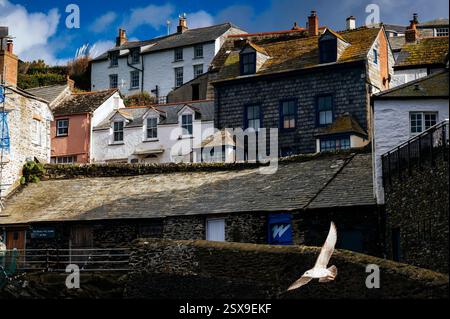 Les anciennes maisons de pêcheurs de Fore Street du port de Port Isaac, Port Isaac, Cornwall, Royaume-Uni Banque D'Images