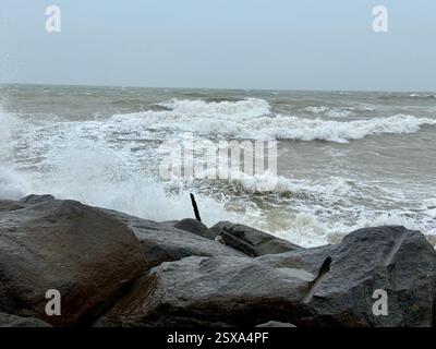 West Bay, Dorset : défenses maritimes Banque D'Images