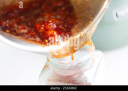 Confection maison de confection avec des fruits frais - gros plan de fruits frais, y compris des prunes, de la grenade et des groseilles à maquereau du cap / physalis - gros plan de Freshly M. Banque D'Images