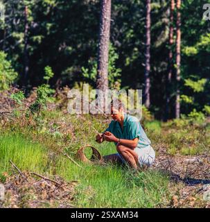 Femme cueillette de champignons Banque D'Images