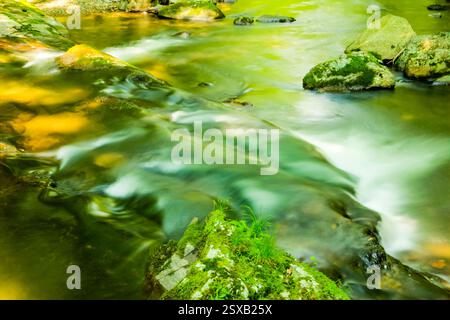 Un courant d'eau coule sur un rocher. L'eau est verte et contient beaucoup d'algues Banque D'Images