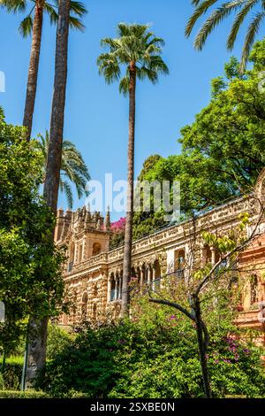 Galería de los Grutescos dans le Royal Alcázar de Séville : grotesques Renaissance ombragés de palmiers au milieu de la majesté intemporelle et de la splendeur royale d'Espagne Banque D'Images