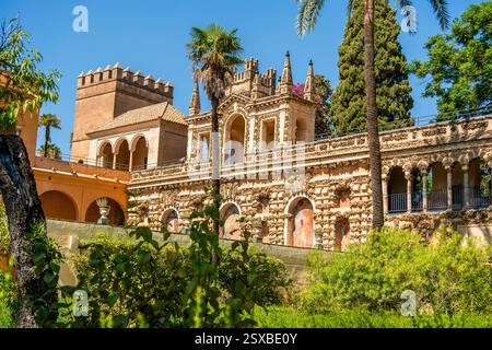 Galería de los Grutescos dans le Royal Alcázar de Séville : grotesques Renaissance ombragés de palmiers au milieu de la majesté intemporelle et de la splendeur royale d'Espagne Banque D'Images