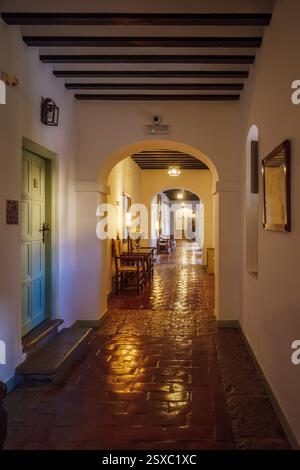 Couloir classique avec carrelage antique rouge et plafond de poutres en bois dans le Parador de Turismo dans la ville d'Almagro, province de Ciudad Real, Espagne, UE Banque D'Images