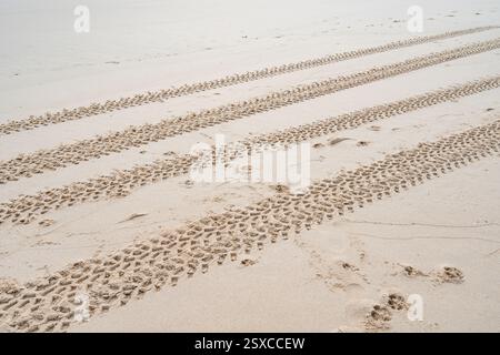 Pistes de pneu 4x4 croisées pistes de pneu sur le fond de texture de sable Banque D'Images