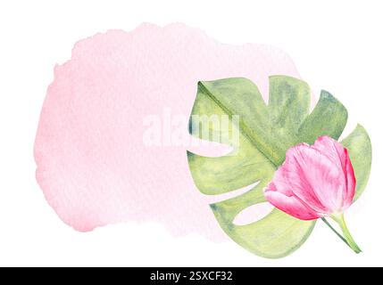 Composition d'aquarelle de feuille de tulipe et de monstera sur fond d'aquarelle. Fleurs roses peintes à la main. Clip art de haute qualité parfait pour la fête des mères Banque D'Images