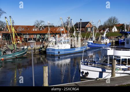 Le village de pêcheurs de Greetsiel, port de pêche historique, avec la plus grande flotte de crevettes en Frise orientale, maisons historiques, hiver, partiellement gelé Banque D'Images