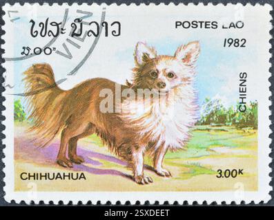 Timbre-poste oblitéré imprimé par le Laos, montrant Chihuahua (Canis lupus familiaris), vers 1982. Banque D'Images