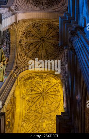 Malaga, Espagne, 27 décembre 2024 Détails architecturaux à l'intérieur de la cathédrale historique Banque D'Images