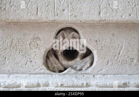 Sculpture en pierre détaillée représentant une créature de la cathédrale notre-Dame de Chartres en France, mettant en valeur l'artisanat. Banque D'Images