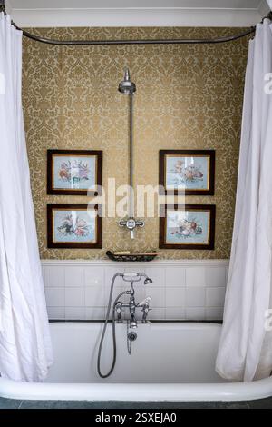 Papier peint à motifs or et aquarelle encadrés au-dessus de la salle de bain avec rideau de douche dans la maison de l'ouest de Londres. Londres, Royaume-Uni. Banque D'Images