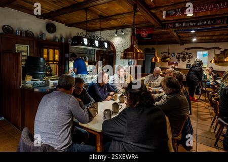 Rendez-vous à la brasserie Neder pour une réunion confortable et boire de la bière. Beaucoup de gens sont rassemblés autour d'une table dans un jardin de bière allemand, buvant de la bière de steins. Nedergasse, Forchheim, Bavière, Allemagne Banque D'Images
