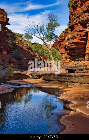 Ruisseau coulant entre les roches rouges dans la gorge de Kalamina, parc national de Karijini, Australie occidentale Banque D'Images