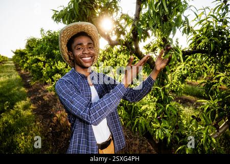 Portrait d'agriculteur afro-américain dans son verger. Il cultive et examine la prune. Banque D'Images