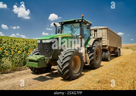 Un grand tracteur vert avec une remorque garé sur un chemin de terre à côté d'un champ de tournesol sous un ciel bleu Banque D'Images