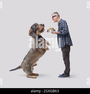 Homme heureux tenant un bol plein de nourriture pour animaux de compagnie et nourrissant un énorme chien Teckel, isolé sur fond blanc Banque D'Images