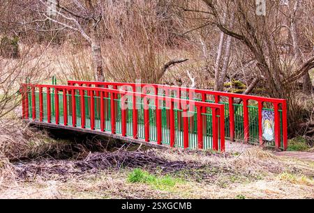 Dundee, Tayside, Écosse, Royaume-Uni. 24 février 2025. Météo Royaume-Uni : temps lumineux et venteux à Dundee Trottick nature and Wildlife Reserve qui a une beauté naturelle tout au long de la saison hivernale. Crédit : Dundee Photographics/Alamy Live News Banque D'Images