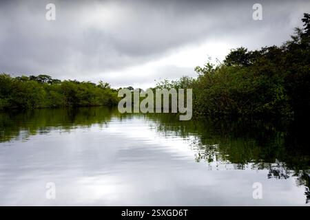 La splendide eau du cratère Azul près de Flores, Guatemala Banque D'Images