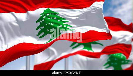Drapeaux nationaux libanais agitant au vent par temps clair. Trois bandes horizontales de rouge, blanc, rouge, avec un cèdre libanais vert au centre. 3d illus Banque D'Images