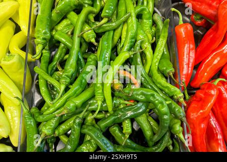 Une vivacité de piments frais verts, rouges et jaunes disposés dans une épicerie Banque D'Images