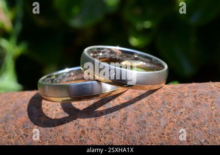 Deux bagues de mariage en or argenté avec un petit diamant sur un, placé sur une surface en métal rouillé avec des feuilles vertes en arrière-plan. Banque D'Images