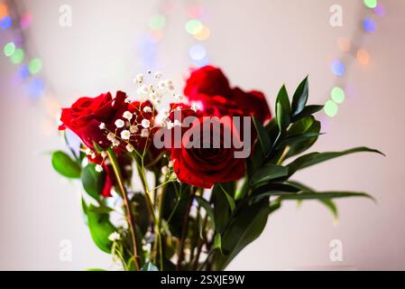 Roses rouges vibrantes avec des lumières bokeh douces en arrière-plan. Banque D'Images