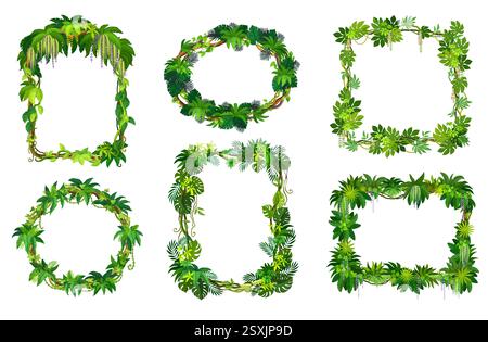 Cadres de jungle tropicale de branches de liane de forêt et de feuilles ou de vignes de lierre, frontières de vecteur. Cadres de liane tropicale de dessins animés de plantes rampantes de forêt tropicale, Illustration de Vecteur