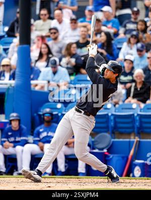 Spencer Jones, outfielder des New York Yankees à la batte, frappe un triple à un match de baseball contre les Blue Jays de Toronto, le dimanche 22 février 2025, à Dunedin, FL. (Alyssa Howell/image du sport) Banque D'Images