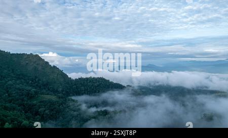 Une prise de vue époustouflante en haute altitude révélant des collines ondulantes recouvertes de brume, créant un paysage serein et éthéré. Banque D'Images