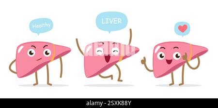 Foie heureux en bonne santé . Ensemble de personnages de dessins animés médicaux mignons. Isolé sur fond blanc. Vecteur . Illustration de Vecteur