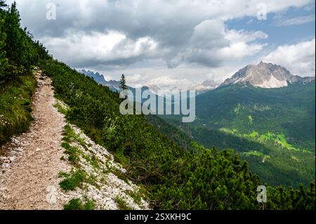Vue imprenable sur les forêts, les montagnes et les vallées des Dolomites italiennes (Dolomiti, Dolomiten). Capturé depuis un sentier pittoresque le long d'une corniche rocheuse. Banque D'Images