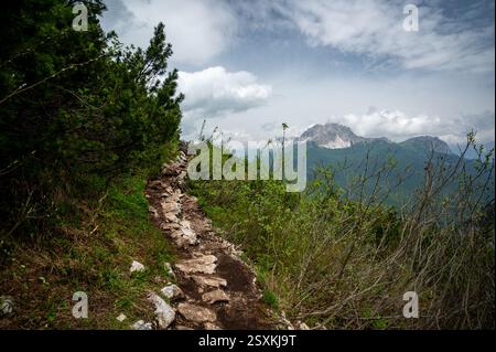 Vue imprenable sur les forêts, les montagnes et les vallées des Dolomites italiennes (Dolomiti, Dolomiten). Capturé depuis un sentier pittoresque le long d'une corniche rocheuse. Banque D'Images