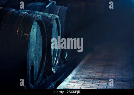 Cave à vin avec de vieux tonneaux en bois au clair de lune Banque D'Images