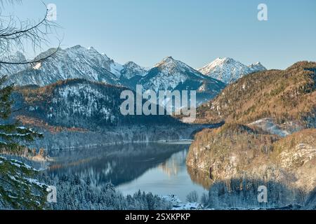 Une vue panoramique époustouflante capture l'essence d'une scène hivernale de conte de fées dans les Alpes bavaroises. Un château de renommée mondiale perche majestueusement au sommet d'un Snow-c Banque D'Images