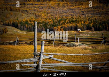 Clôture en bois rustique dans une prairie d'automne avec une cabane contre la forêt colorée Banque D'Images