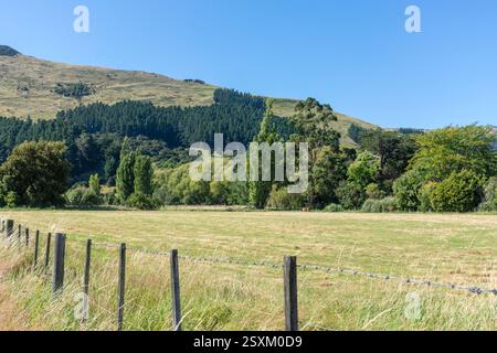 Vue du paysage depuis la State Highway 75, Little River, Banks Peninsula, Canterbury Region, South Island, nouvelle-Zélande Banque D'Images