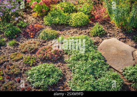 Arrière-cour avec aménagement paysager fantastique, patio, plantes résistantes à la sécheresse, jardin succulent Banque D'Images