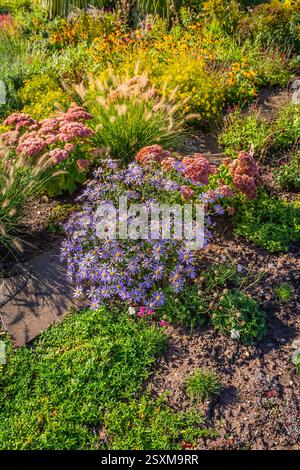 Arrière-cour avec aménagement paysager fantastique, patio, plantes résistantes à la sécheresse, jardin succulent Banque D'Images