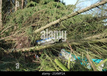 Tempête Eowyn de petits bateaux endommagés par des arbres tombés dans le chantier naval de Garlieston, Wigtownshire, Dumfries et Galloway, Écosse en janvier 2025 Banque D'Images