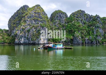 Bateaux de pêche dans le village de pêcheurs de Cai Beo, le plus grand ancien village de pêcheurs du Vietnam dans la baie de LAN Ha, Cat Ba, une partie de la baie d'Halong, Vịnh Hạ long. Banque D'Images